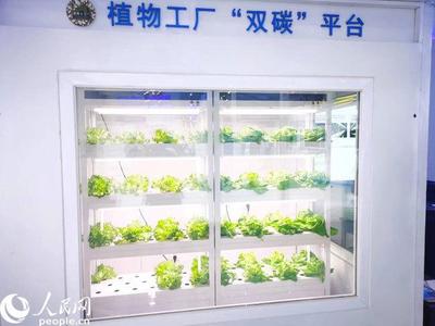 财经观察:着重激发创新源头活力 科技让生活更精彩